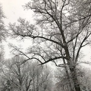 Meet your Posher, Gabrielle